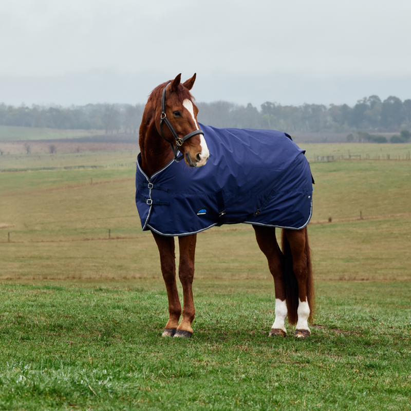 WeatherBeeta ComfiTec Tyro Turnout Standard Neck 50g - Navy/Charcoal-1
