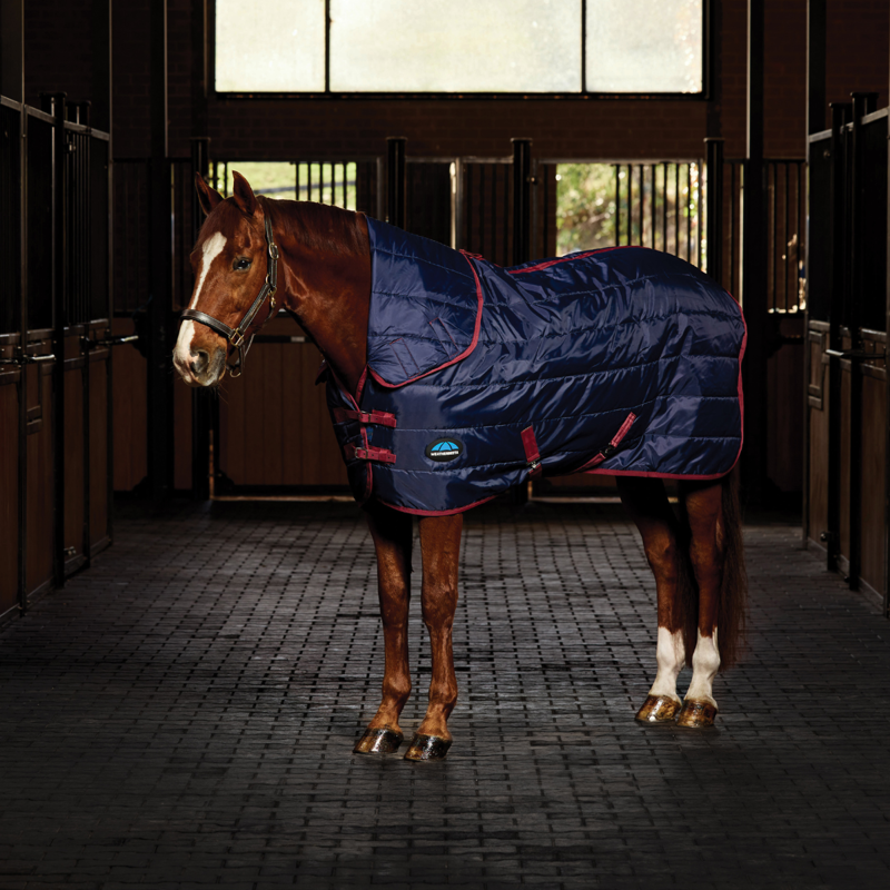 WeatherBeeta ComfiTec 210D Channel Quilt Stable Combo Neck 100g Rug - Navy/Burgundy-1