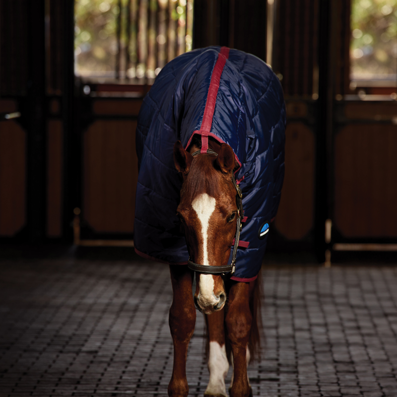 WeatherBeeta ComfiTec 210D Channel Quilt Stable Combo Neck 100g Rug - Navy/Burgundy-4