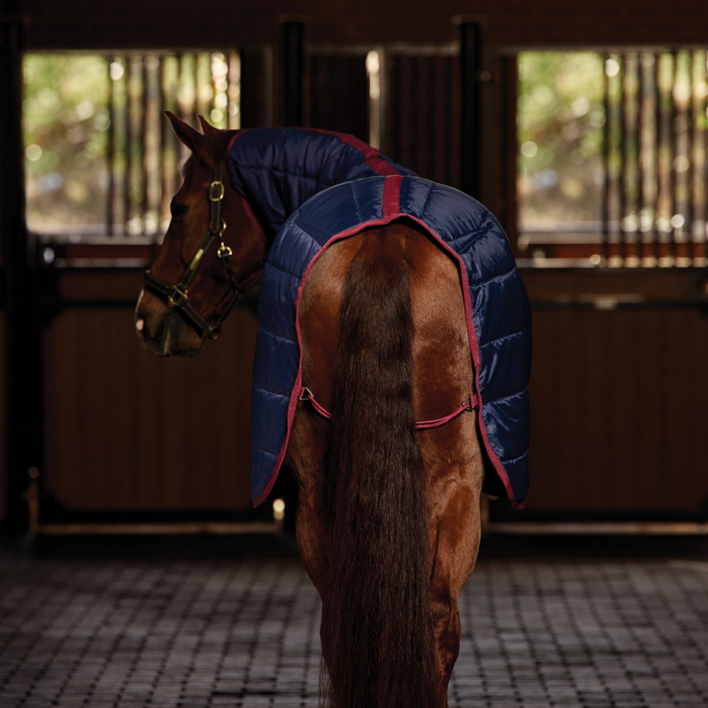WeatherBeeta ComfiTec 210D Channel Quilt Stable Combo Neck 100g Rug - Navy/Burgundy-6