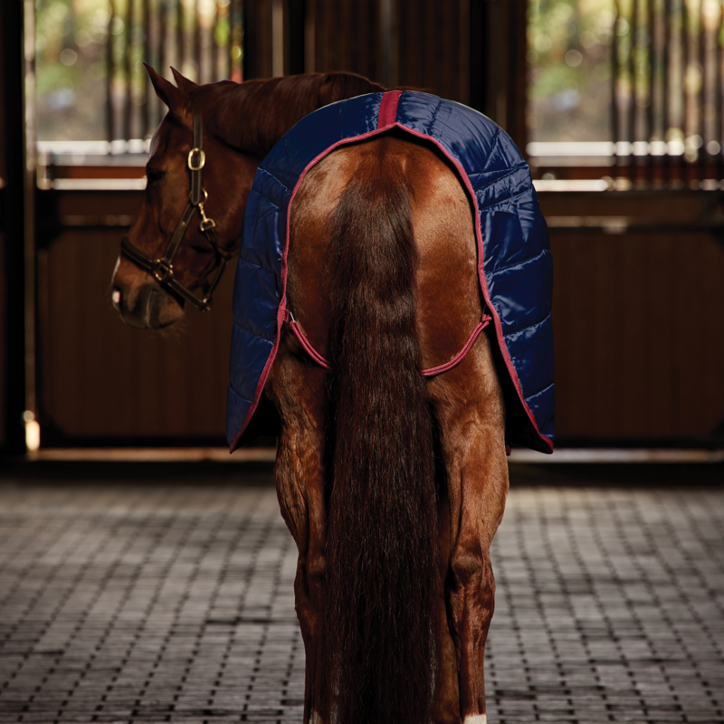 WeatherBeeta ComfiTec 210D Channel Quilt Stable Standard Neck 220g Rug - Navy/Burgundy-4