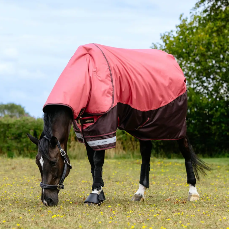 LeMieux Arika Ripstop 200g Turnout Rug - Cranberry-1