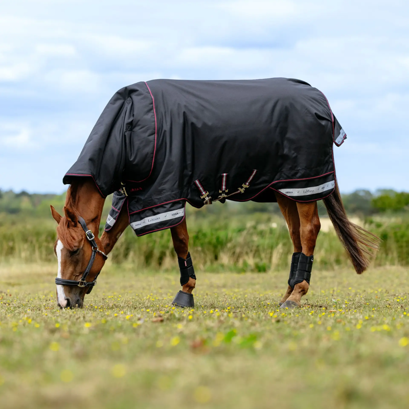 LeMieux Arika Storm-Tek Rug 50g - Black-2