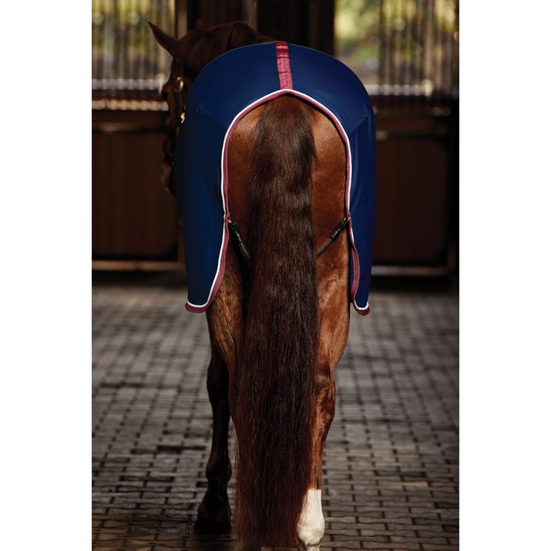 WeatherBeeta Opulence Show Sheet Standard Neck Rug - Navy/Burgundy-3