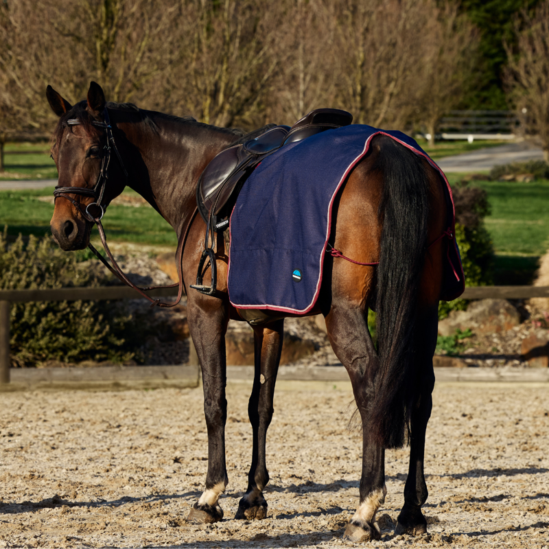 WeatherBeeta Essential Fleece Lined Quarter Sheet - Navy/Burgundy
