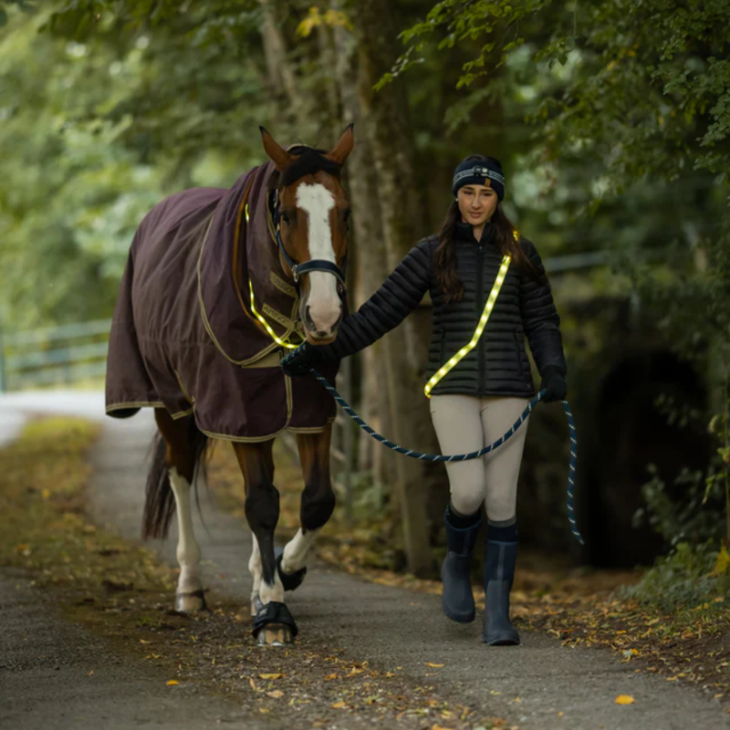 Woof Wear LED Sash-2