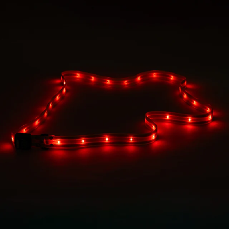 Woof Wear LED Sash-3