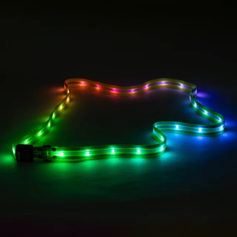 Woof Wear LED Sash-5
