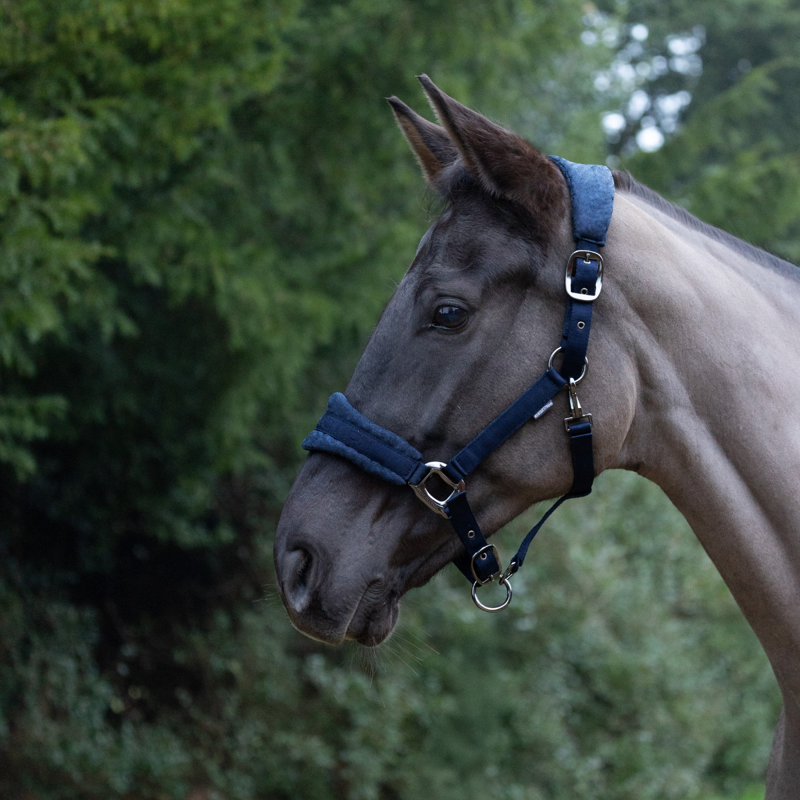 ProReaction Dura Fleece Headcollar by Hy Equestrian - Navy-1