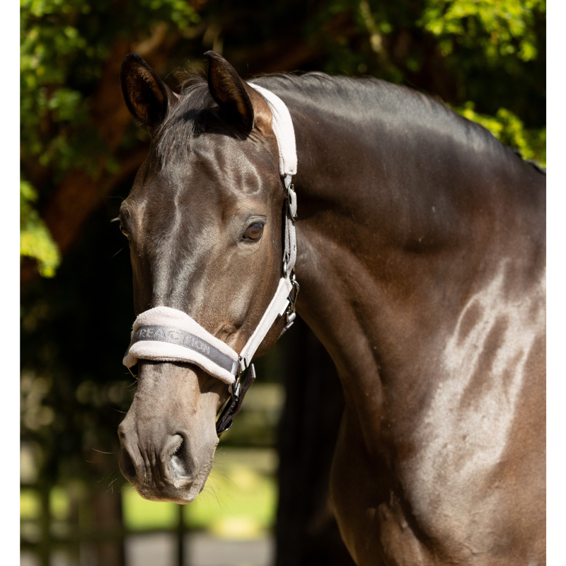 ProReaction Dura Fleece Headcollar by Hy Equestrian - Grey