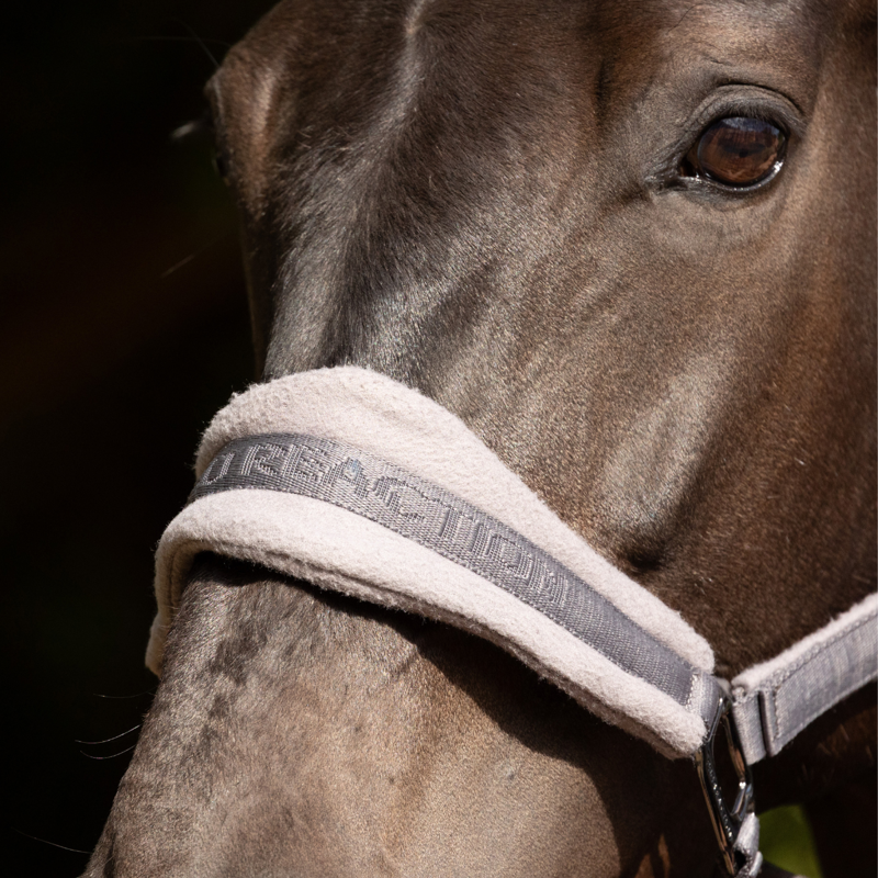ProReaction Dura Fleece Headcollar by Hy Equestrian - Grey-1