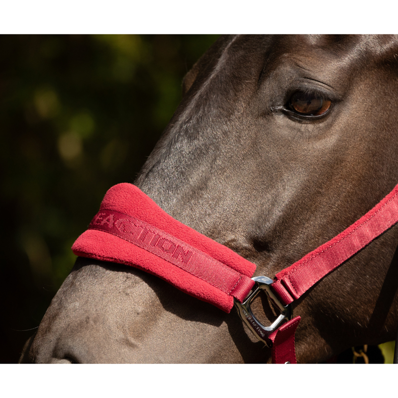 ProReaction Dura Fleece Headcollar by Hy Equestrian - Burgundy-1