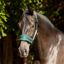 ProReaction Dura Fleece Headcollar by Hy Equestrian - Hunter Green