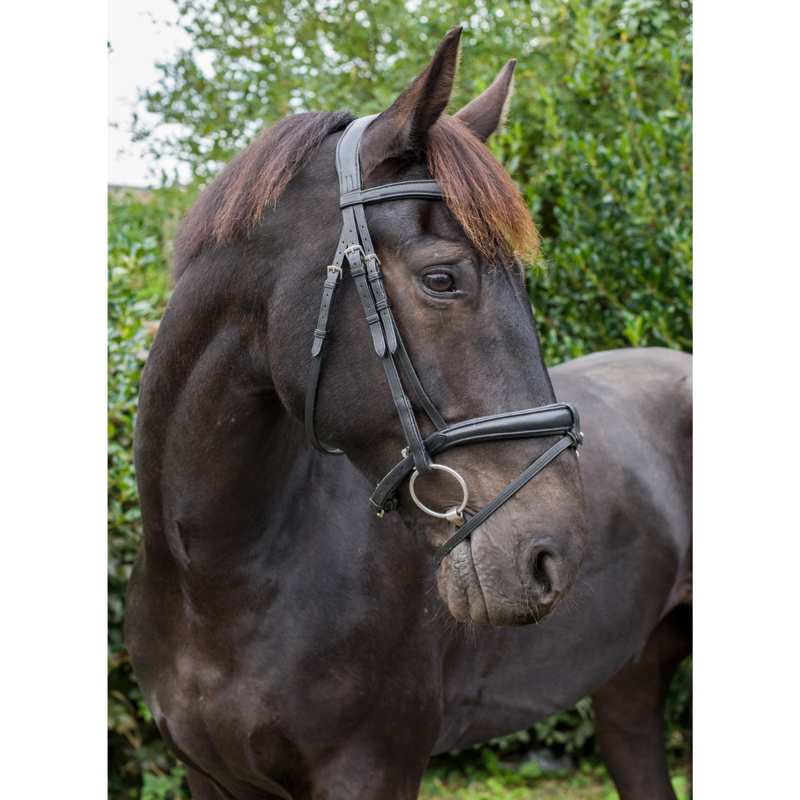 EcoRider SuperLux Bridle - Brown-2