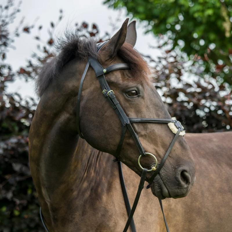 EcoRider SuperLux Grackle Bridle - Brown-1