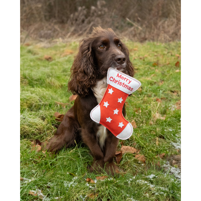 Benji And Flo Christmas Dog Toy -  Christmas Stocking-1