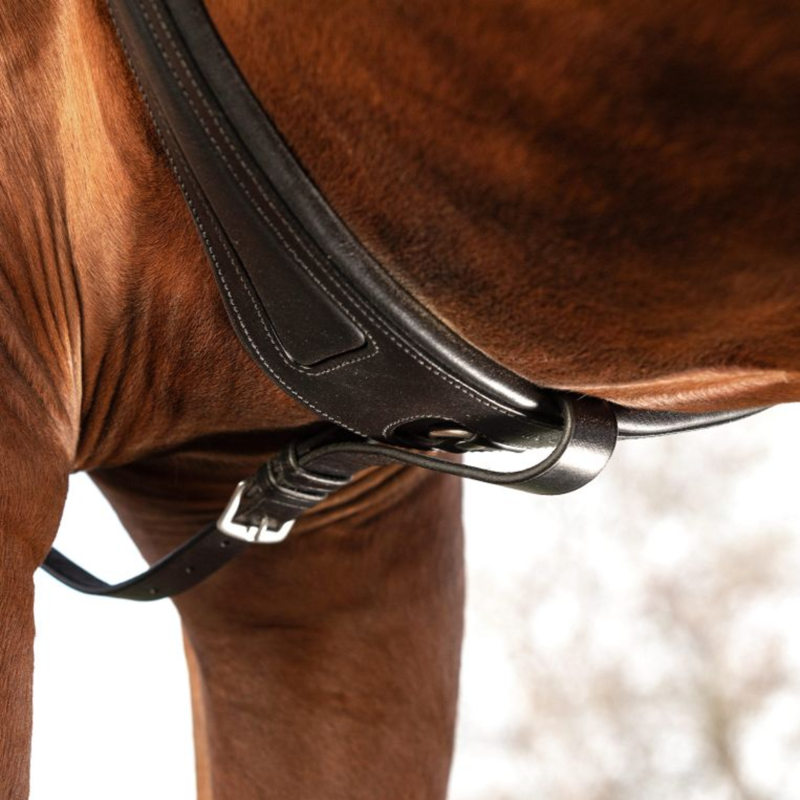 Horseware Micklem Breastplate With Martingale - Black-4