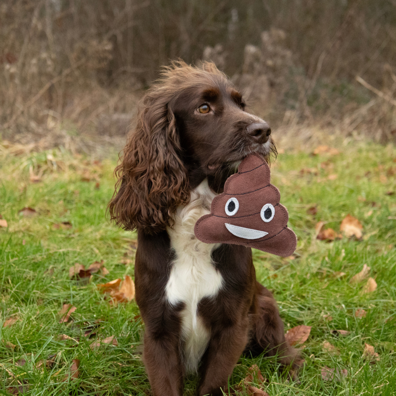 Benji And Flo Crazy Faces Dog Toys -  Ooopsie Poopsie-1