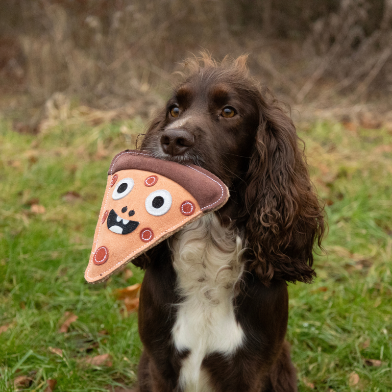 Benji And Flo Crazy Faces Dog Toys -  Pawperoni Pizza-1