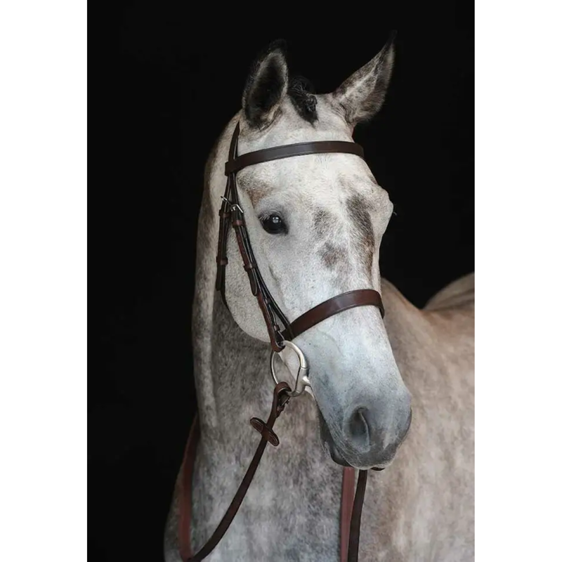 Collegiate Hunt Cavesson Bridle IV - Brown-1