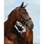 Collegiate Syntovia+ Padded Raised Flash Bridle - Black