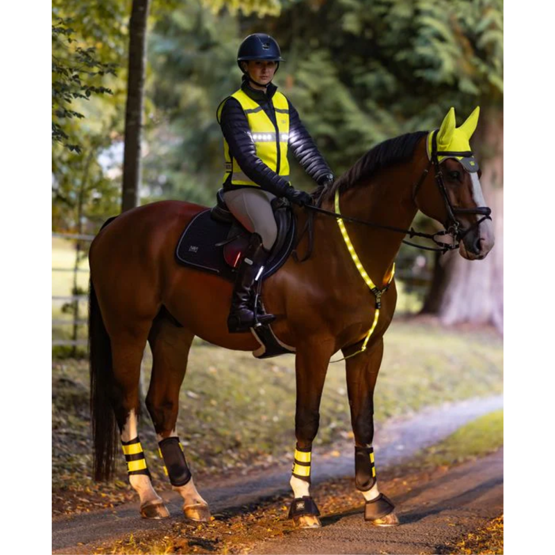 Woof Wear Junior LED Hi Vis Riding Vest - Hi Viz Yellow-4