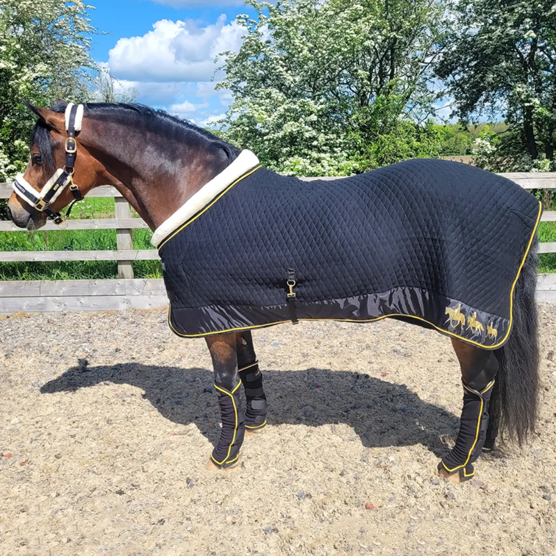 Supreme Products Royal Occasion Rug - Black