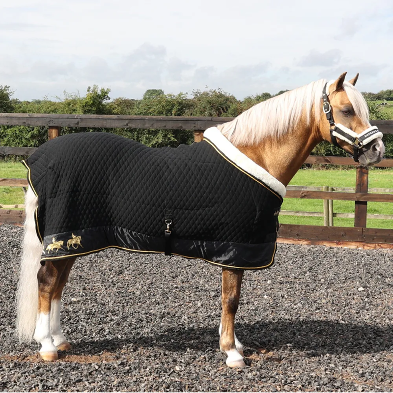 Supreme Products Royal Occasion Rug - Black-1