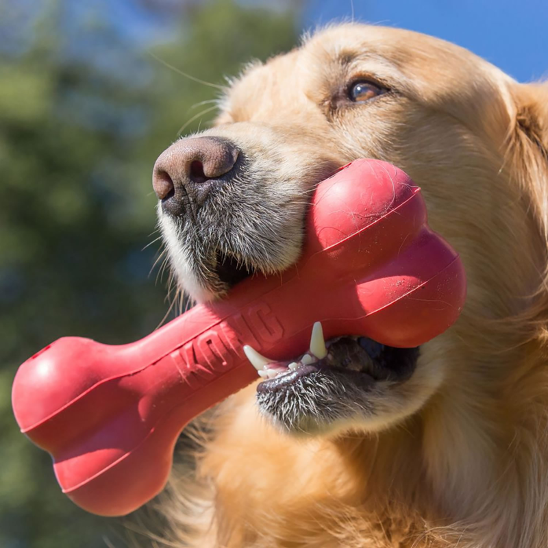 KONG Goodie Bone Dog Toy - Red-1