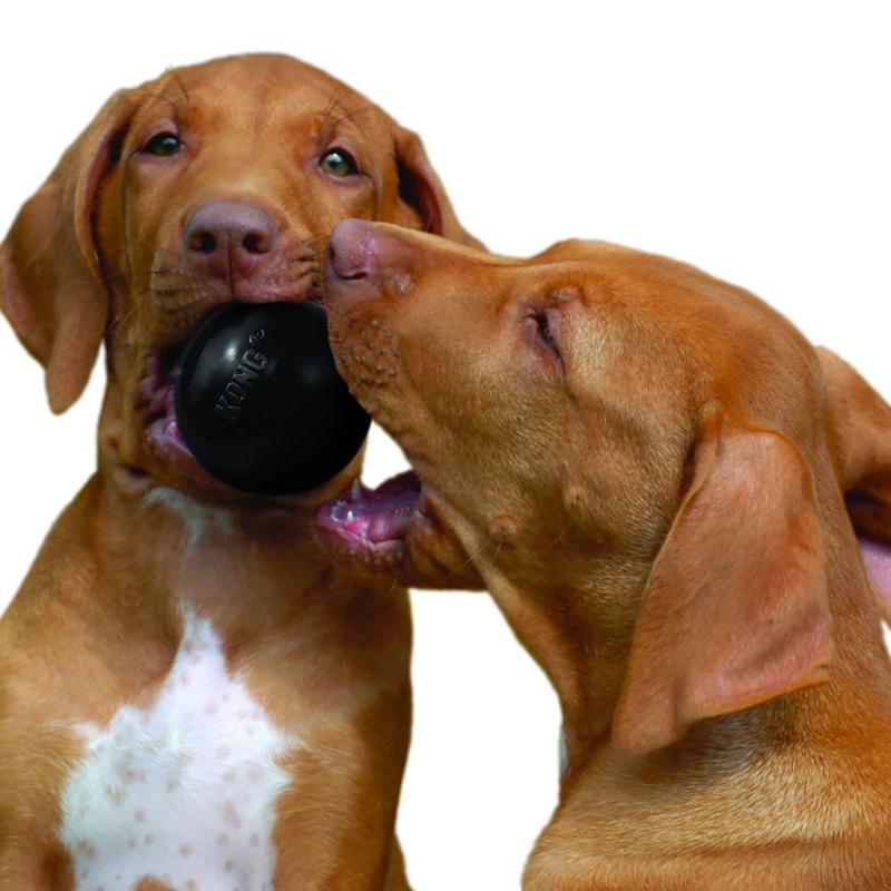 KONG Extreme Ball Dog Toy - Black-1