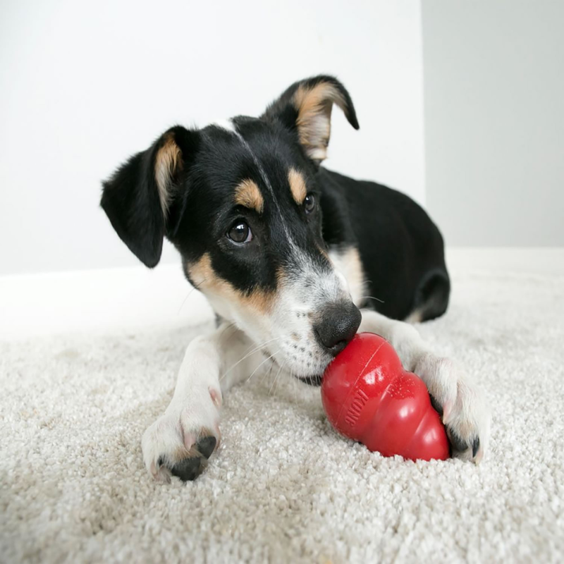 KONG Classic Dog Toy - Red-1
