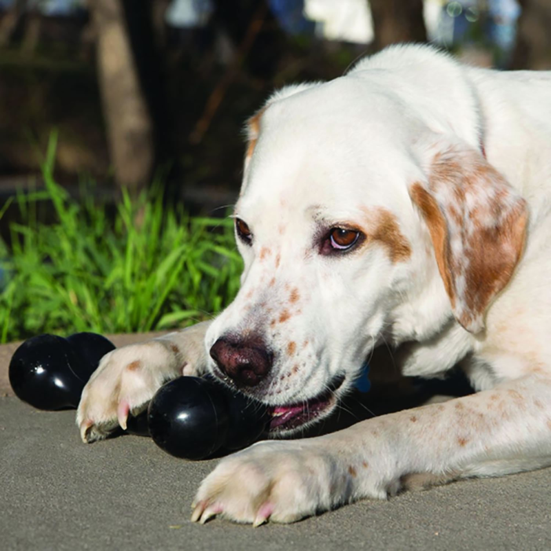 KONG Extreme Goodie Bone Dog Toy - Black-1