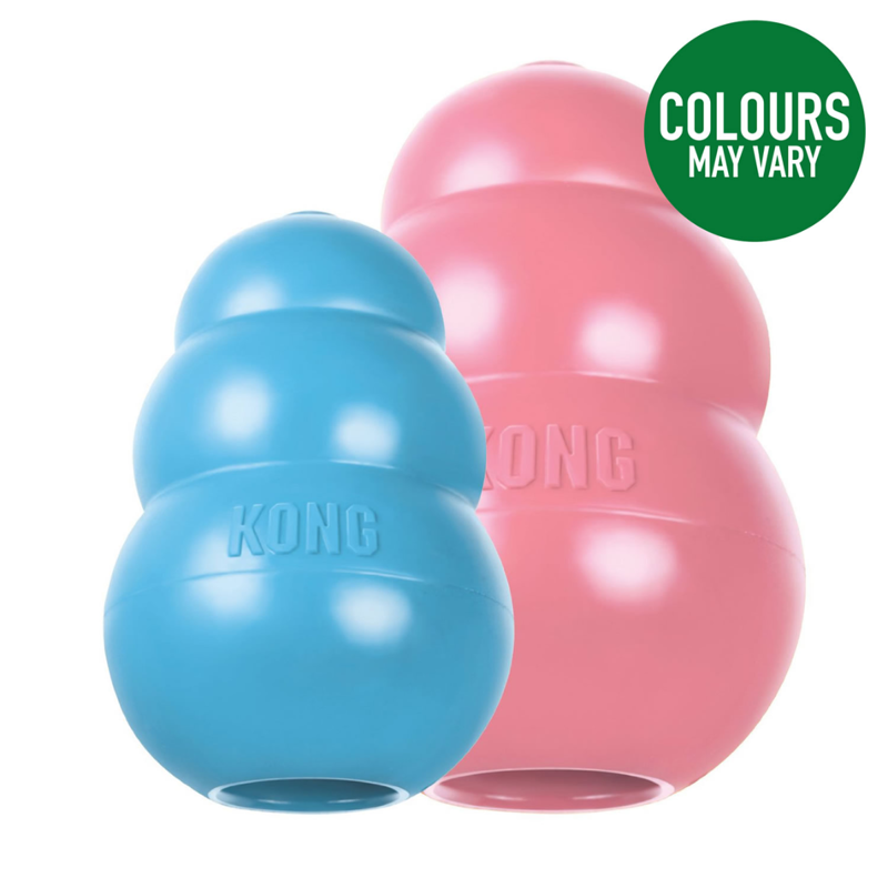 KONG Puppy Classic Dog Toy - Assorted Colours