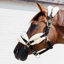 Kentucky Nylon Sheepskin Headcollar Soft - Natural