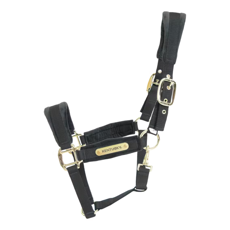 Kentucky Velvet Headcollar - Black-1