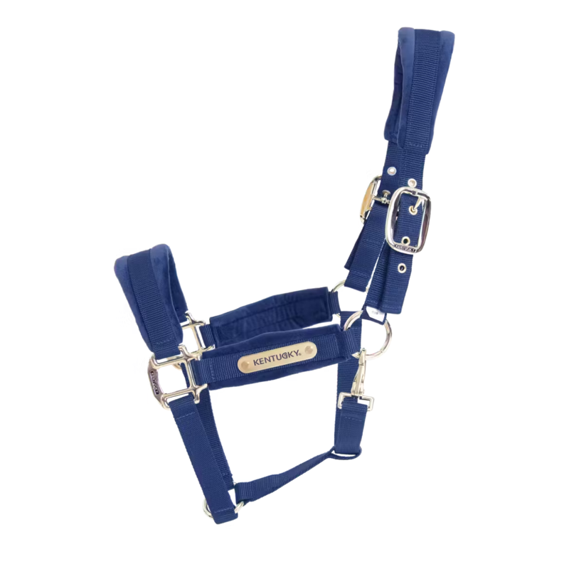 Kentucky Velvet Headcollar - Navy-1