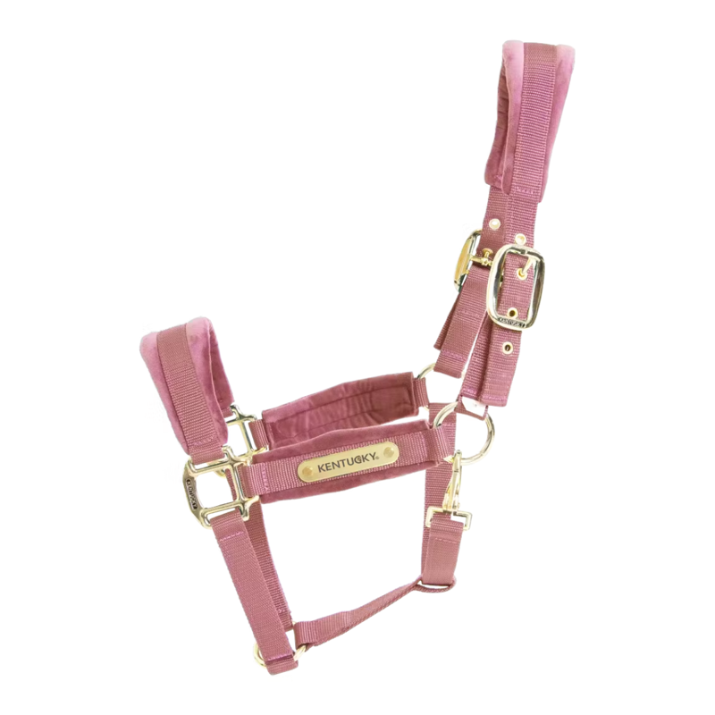 Kentucky Velvet Headcollar - Old Rose-1