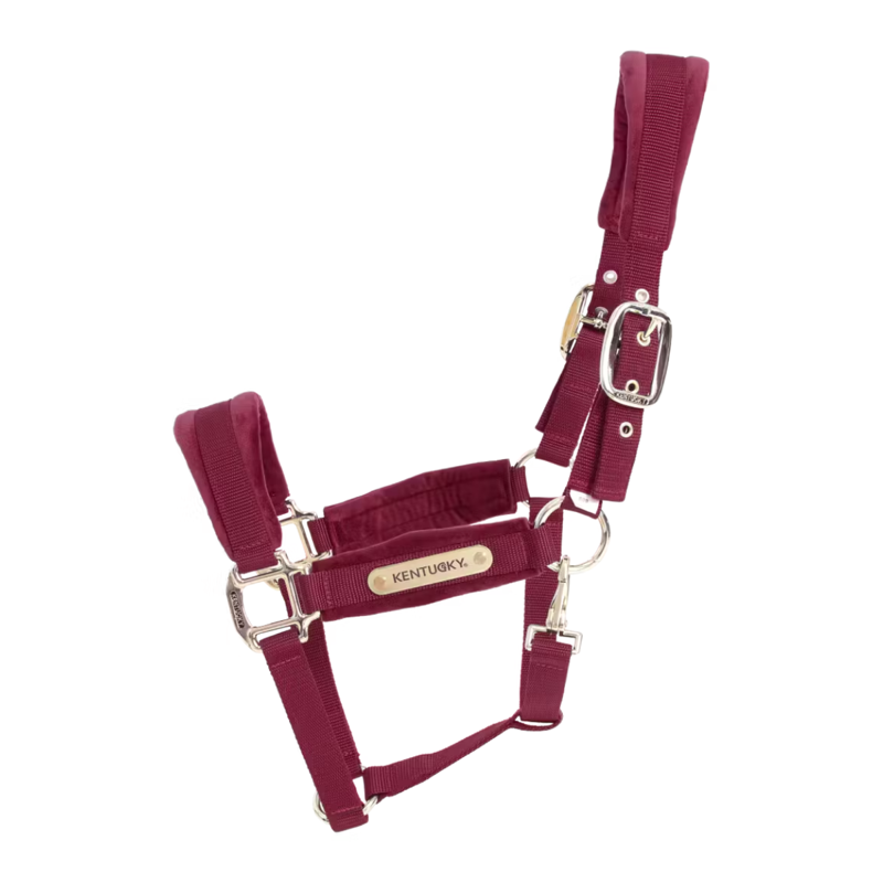 Kentucky Velvet Headcollar - Bordeaux-1