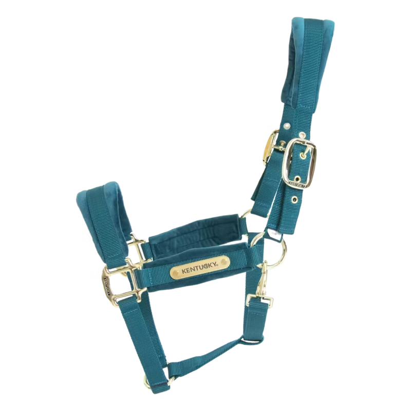 Kentucky Velvet Headcollar - Emerald-1