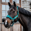 Kentucky Velvet Headcollar - Emerald