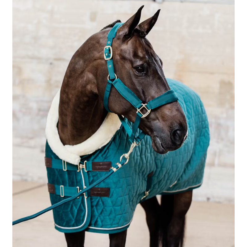 Kentucky Velvet Headcollar - Emerald-2