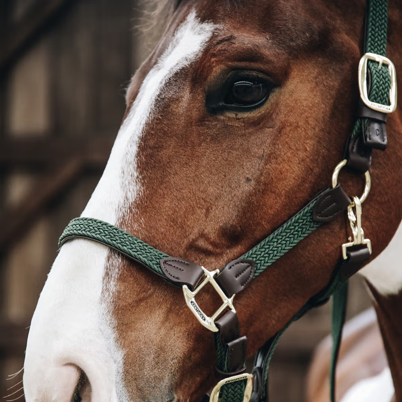 Kentucky Plaited Nylon Headcollar - Olive Green-2