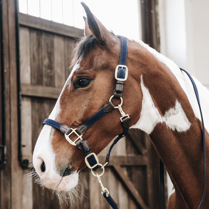 Kentucky Plaited Nylon Headcollar - Navy-1