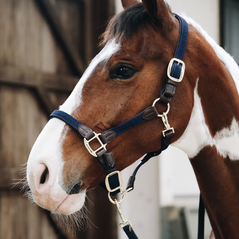 Kentucky Plaited Nylon Headcollar - Navy-2