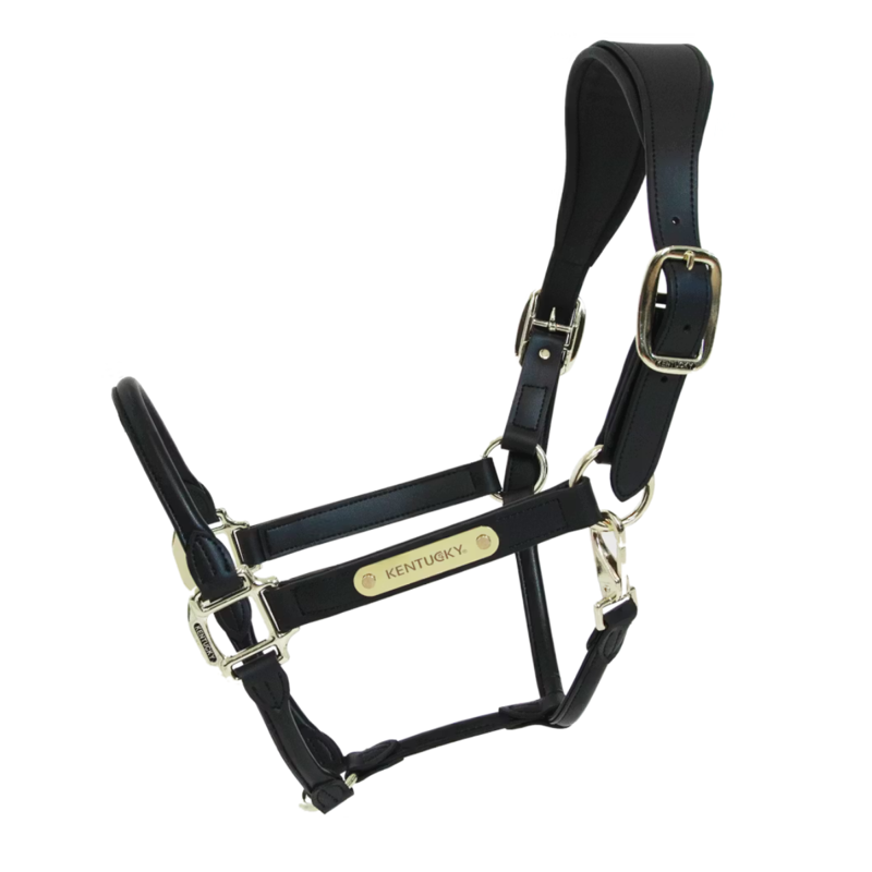 Kentucky Leather Anatomic Headcollar - Black-1