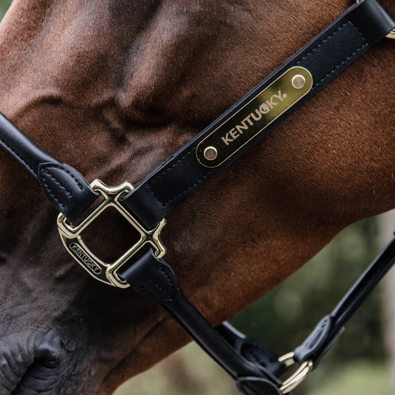 Kentucky Leather Anatomic Headcollar - Black-2