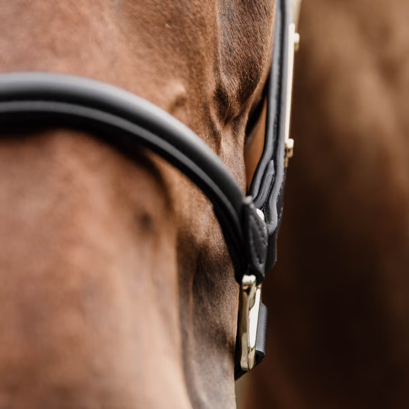 Kentucky Leather Anatomic Headcollar - Black-3