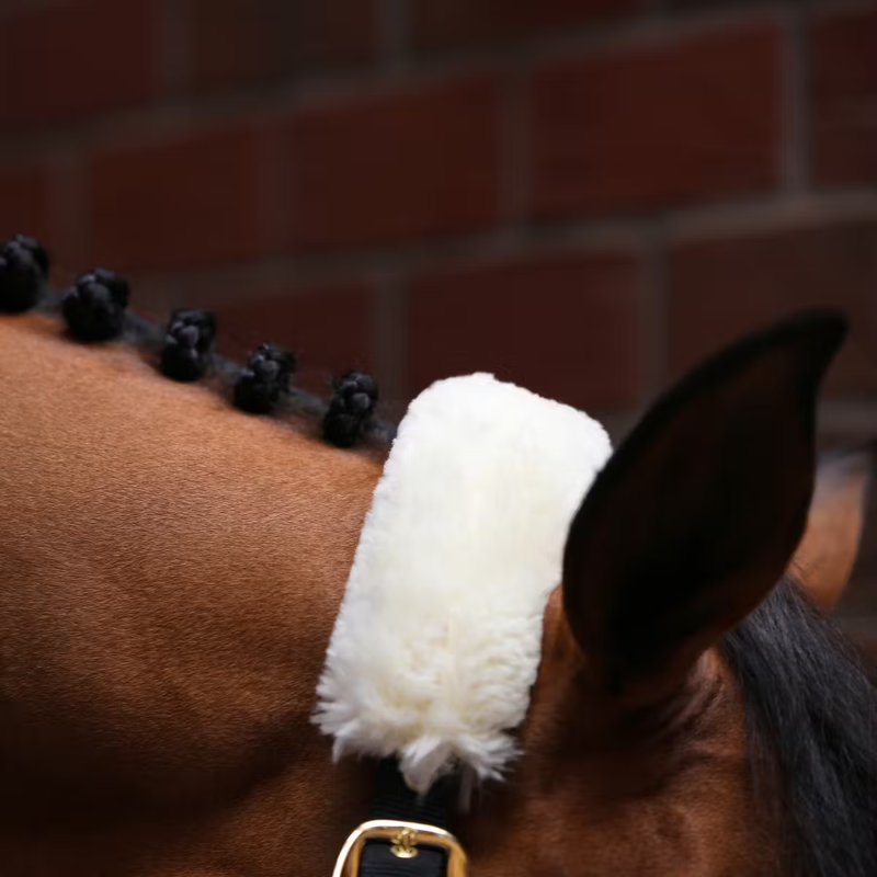 Kentucky Sheepskin Shipping Headcollar - Natural-2
