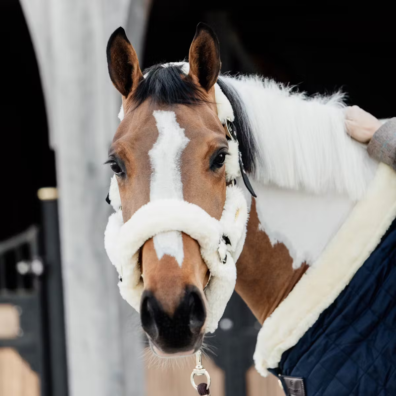 Kentucky Sheepskin Shipping Headcollar - Natural-3