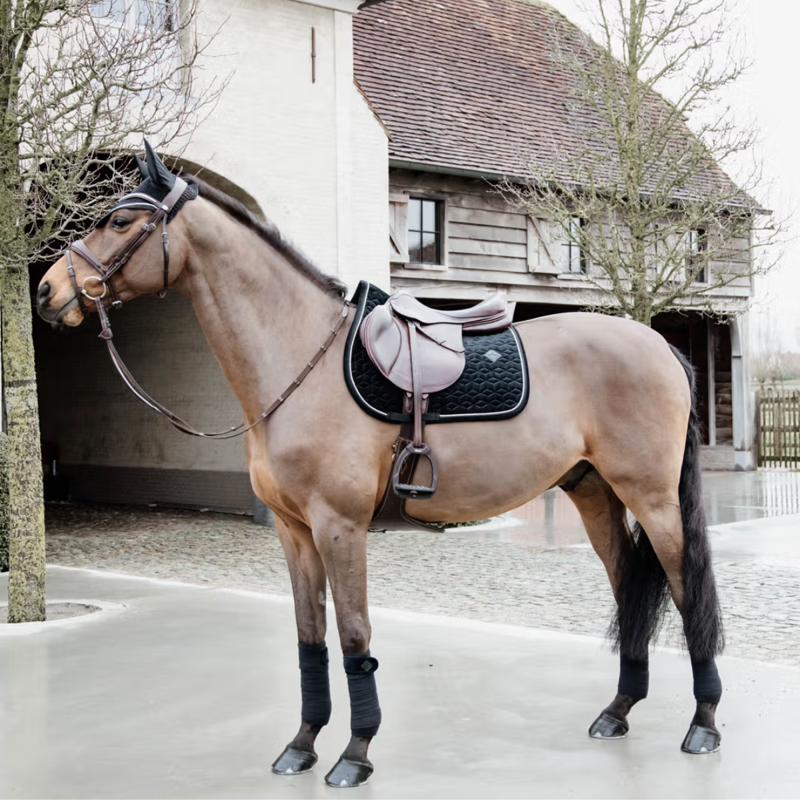 Kentucky Velvet Jumping Saddlepad - Black-4